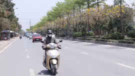 Thời tiết ngày 6/6: Bắc Bộ nắng nóng, Lào Cai đề phòng mưa dông chiều tối