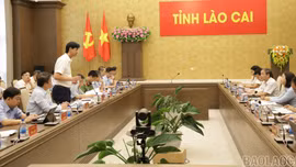 Lào Cai quyết tâm hoàn thành thắng lợi Tổng điều tra kinh tế và Điều tra hành chính, sự nghiệp năm 2026