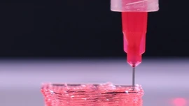 Phát triển mô cấy ghép in 3D giúp phục hồi tổn thương mô nghiêm trọng