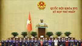 Các Phó Thủ tướng, Bộ trưởng và thành viên khác của Chính phủ nhiệm kỳ 2026 - 2031