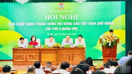 Bốn nội dung quan trọng chuẩn bị cho Đại hội Hội Nông dân nhiệm kỳ IX