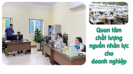 Quan tâm chất lượng nguồn nhân lực cho doanh nghiệp