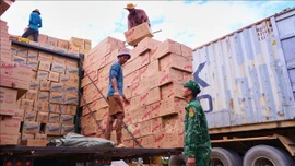 Thành lập đoàn kiểm tra đôn đốc chống buôn lậu dịp Tết Nguyên đán