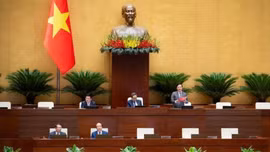 Ngày 12/8, Quốc hội thảo luận về việc thành lập thành phố Quảng Ninh và thành phố Bắc Ninh