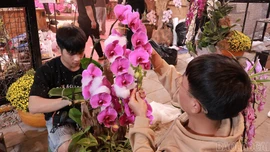 Đằng sau một gian hàng đẹp 