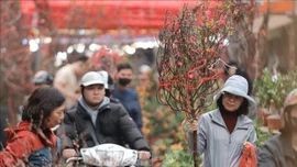 Từ mùng 2 Tết, Bắc Bộ, Bắc Trung Bộ trời rét, vùng núi có nơi rét đậm