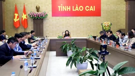 Lào Cai dự Hội nghị Ban Chỉ đạo Quốc gia về hội nhập quốc tế triển khai phương hướng, nhiệm vụ năm 2026