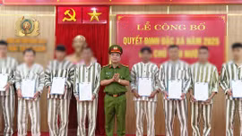 Hướng dẫn đặc xá năm 2026