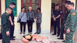 Bộ đội Biên phòng kịp thời ngăn chặn gần 1 tạ thực phẩm bẩn vận chuyển trái phép qua biên giới