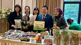 Kinh tế hợp tác xã - dấu ấn đậm nét năm 2025