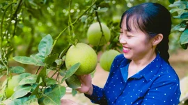 Bảo Thắng sôi nổi phong trào thi đua hướng về Đại hội XIV của Đảng