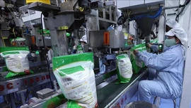 Tận dụng FTA, mở rộng và đa dạng hóa thị trường xuất khẩu gạo