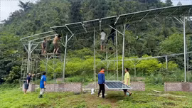  Năng lượng mặt trời - giải pháp xanh cho sản xuất chế biến