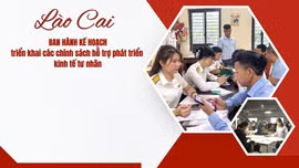 Lào Cai ban hành kế hoạch triển khai các chính sách hỗ trợ phát triển kinh tế tư nhân