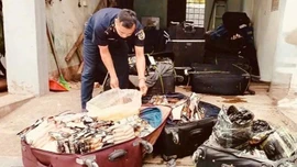 Ngăn chặn hơn 1,8 tấn thực phẩm đông lạnh nhập lậu tại các cửa khẩu phía Bắc