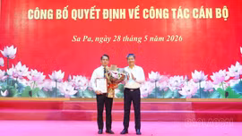 Công bố quyết định phê chuẩn Phó Chủ tịch UBND phường Sa Pa