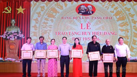 (Tin ghép) Các địa phương tổ chức trao Huy hiệu Đảng cho đảng viên lão thành, tiêu biểu