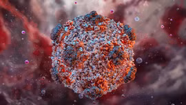 Virus Hanta nguy hiểm đến mức nào?