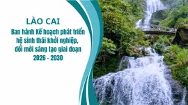 Lào Cai ban hành Kế hoạch phát triển hệ sinh thái khởi nghiệp, đổi mới sáng tạo giai đoạn 2026 - 2030