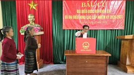 Hướng dẫn chi tiết cách ghi phiếu bầu cử