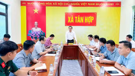 Gợi mở hướng phát triển, tạo động lực tăng trưởng cho Tân Hợp