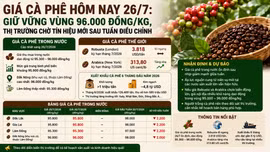 Giá cà phê hôm nay 26/7: Giữ vững vùng 96.000 đồng/kg, thị trường chờ tín hiệu mới sau tuần điều chỉnh