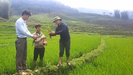 Nậm Có gắn công tác xây dựng Đảng với phát triển kinh tế