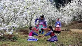 Hiện thực hóa nghị quyết bằng những đột phá cụ thể