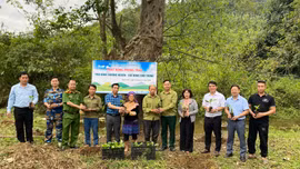 Xã Nghĩa Đô phát động phong trào “Phủ xanh thượng nguồn - Giữ dòng suối trong”