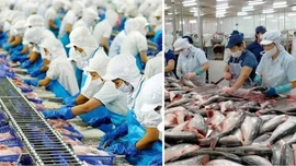 Danh mục động vật, sản phẩm động vật thủy sản thuộc diện phải kiểm dịch, miễn kiểm dịch