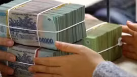 Quy định mới về cho vay đặc biệt