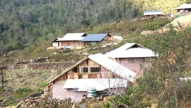 Xuân mới Nhìu Cù San