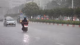 Lào Cai: Đêm 17, ngày 18/6 có mưa dông rải rác, cục bộ mưa vừa đến mưa to