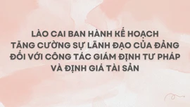 Ban Thường vụ Tỉnh ủy ban hành Kế hoạch thực hiện Chỉ thị số 54-CT/TW của Bộ Chính trị