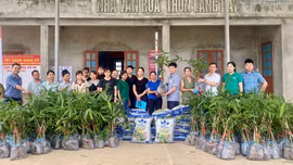 Cảm Nhân: Tập huấn và bàn giao cây giống triển khai mô hình trồng tre măng Bát độ 2026