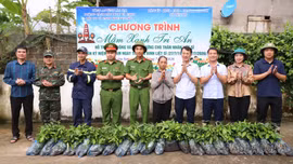 Liên Sơn trao 2.000 cây quế tặng thân nhân liệt sĩ, lan tỏa nghĩa cử “Uống nước nhớ nguồn”