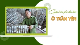 Gặp triệu phú dâu tằm ở Trấn Yên