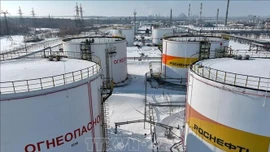 Mỹ áp dụng lệnh miễn trừ tạm thời cho dầu mỏ Nga