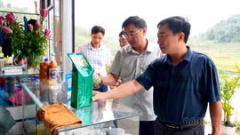 Hội Nông dân tỉnh Lào Cai làm việc với Đảng ủy xã Mường Hum về phát triển nông nghiệp, nông dân, nông thôn