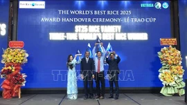 Trao Cúp 'Gạo ngon nhất thế giới' năm 2025 cho gạo ST25