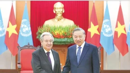 Chủ động, tích cực triển khai Nghị quyết Đại hội XIV trong công tác Đối ngoại