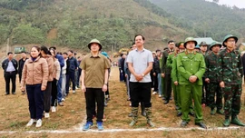 Xã Mỏ Vàng ra quân “Tết trồng cây đời đời nhớ ơn Bác”