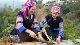 Lao Chải lan tỏa mô hình “2 giờ làm nông dân"