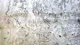 Phát lộ bức họa cổ dạng bản đồ chứa đa ngữ trong Kinh thành Huế