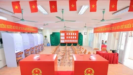 Bầu cử Quốc hội và HĐND: Truyền thông, học giả quốc tế đánh giá cao ý nghĩa của sự kiện