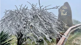 Miền Bắc bước vào đợt rét đậm, rét hại kéo dài