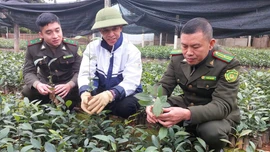 Gieo mầm xanh tương lai