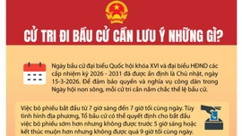 Cử tri đi bầu cử cần lưu ý những gì?