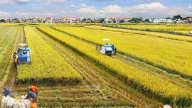Điều chỉnh Quy hoạch sử dụng đất quốc gia thời kỳ 2021-2030, tầm nhìn đến năm 2050