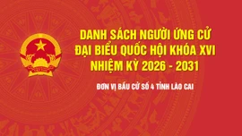 [Infographic] Tiểu sử tóm tắt những người ứng cử đại biểu Quốc hội khóa XVI - Đơn vị bầu cử số 4, tỉnh Lào Cai